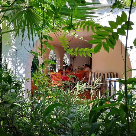 فيلة Murgia *