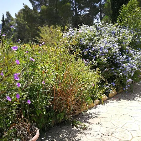 Murgia