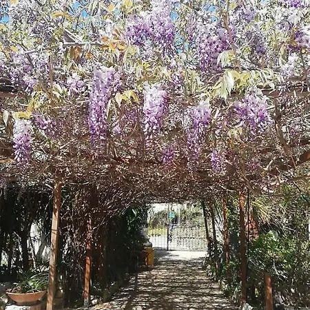 Murgia